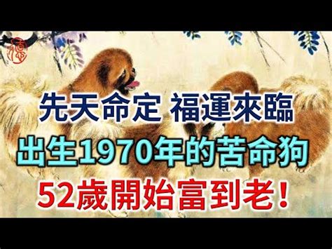 1970 屬狗 五行 缺什麼|1970年是什麼生肖？70年生人命運如何？五行屬釵釧。